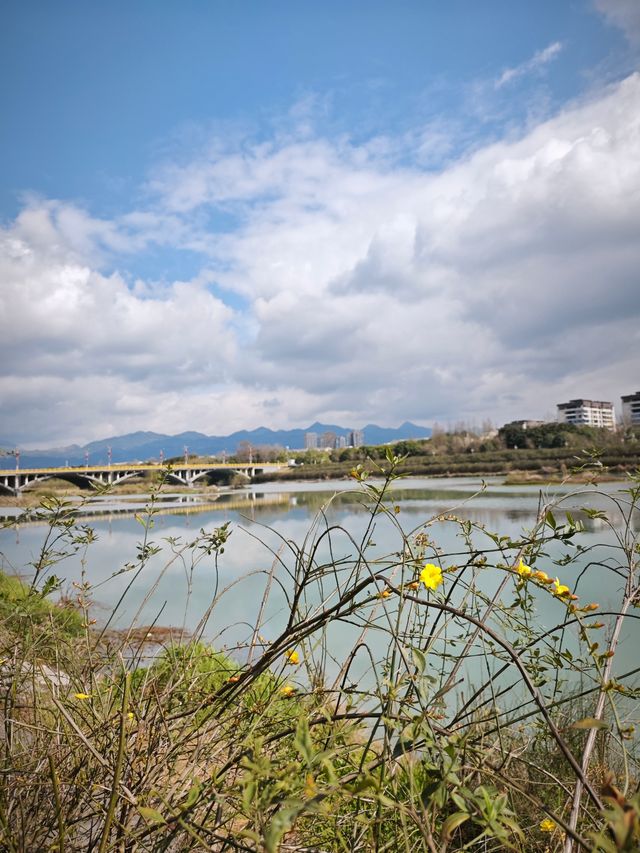 去北川巴拿恰，路上踏青賞花