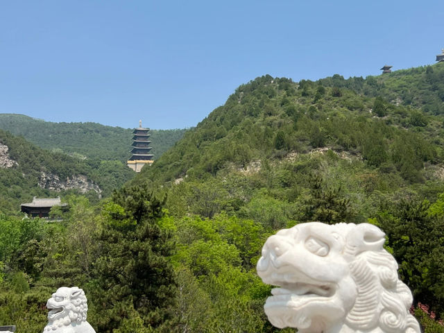 去了5次太山，終於玩明白了