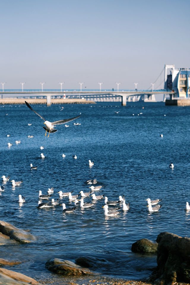 淡季的星海公園真是人間理想