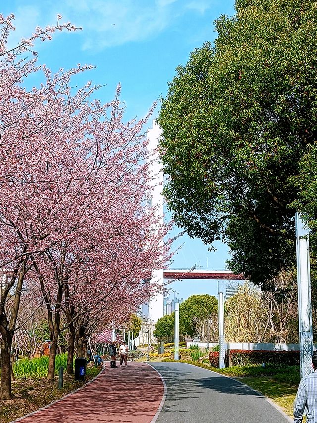 花為媒，南浦大橋你就「娶」咗佢啦！