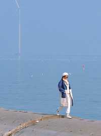 天津免費觀賞海鷗｜東疆親海公園超詳細攻略