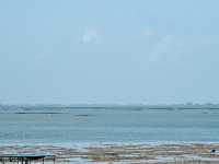 北海觀海