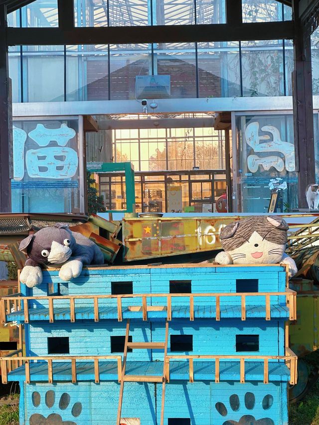 屬於愛貓者的世界