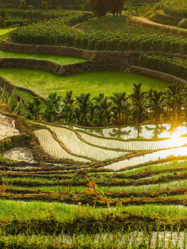 ทริปเที่ยวเขาห้าด้าม 2 วัน เที่ยวให้ครบไม่มีพลาด