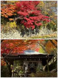 日本草津市旅遊詳細攻略