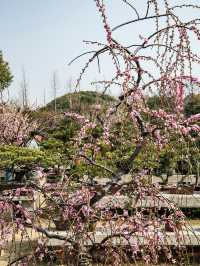 花開海上生態園