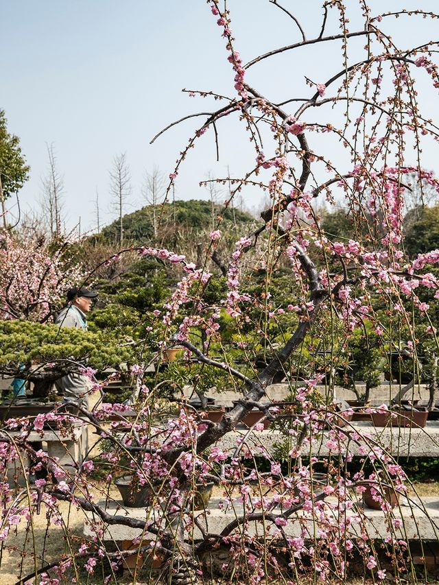 花開海上生態園