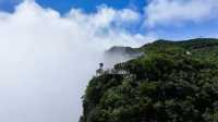 龍頭山雲端漫步｜被這處天然氧吧仙境種草了