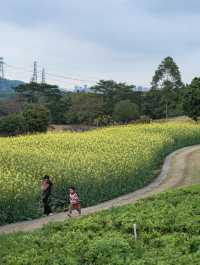 邂逅浪漫，陌上花公園嘅春日漫遊記