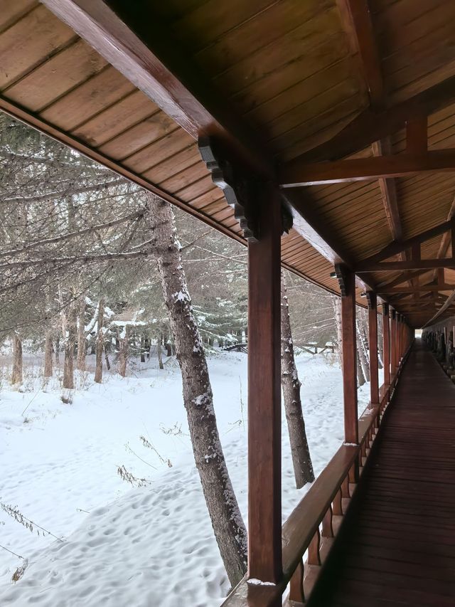 小長假去樂山，睇呢篇攻略就夠曬啦