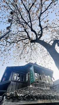 西湖風景名勝區遊玩攻略