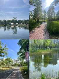 太倉市民公園｜太倉免費寶藏地