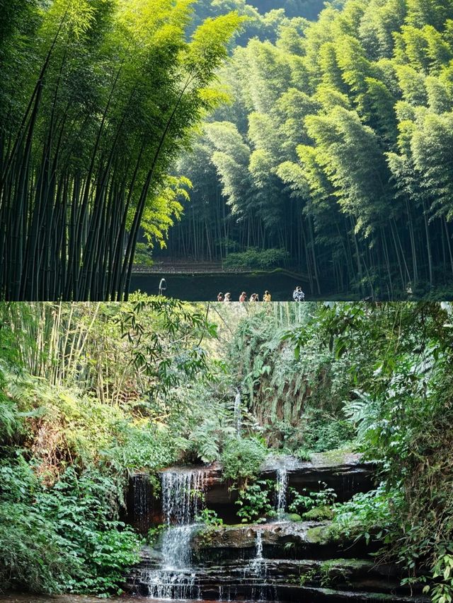 蜀南竹海，川渝周邊，滿眼青翠，人間仙境。
