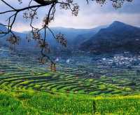2025 快啲嚟浙江覆厄山啦，油菜花盛開！