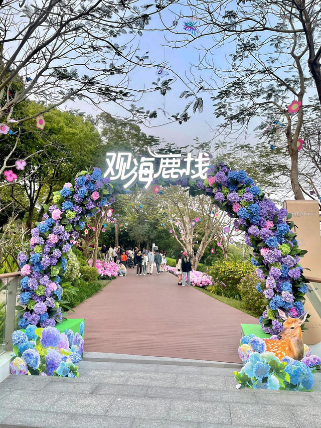 🌊珠海 | 城市客廳，免費美拍聖地必須衝！