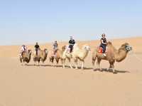 Glamping in the dessert 