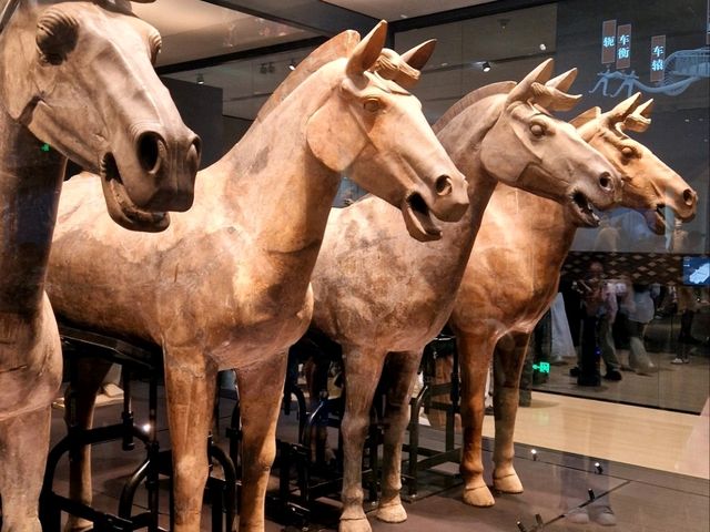 Terracotta warriors day trip