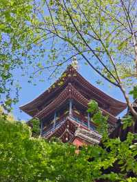 杭州旅遊攻略