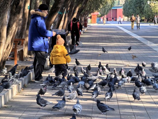 北京地壇公園