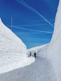 立山黑部全攻略丨五月雪牆高聳，旅遊計劃必看！