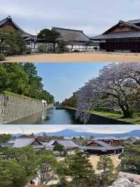 在二條城時空漫遊，解鎖將軍的春日度假庭園