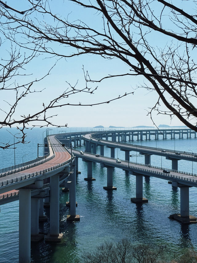 大連一天時間打卡主要景點，劃重點