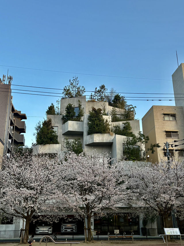 日本福岡必住！超酷的NOT A HOTEL🏨