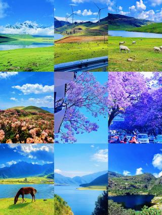 Places Suitable for Travel in June and July to See Soma Flowers