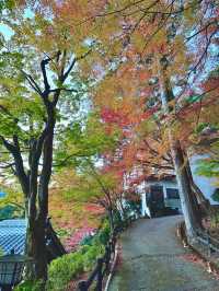 《下呂溫泉合掌村》