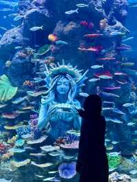 長沙湘江歡樂海洋公園攻略 | 湘江畔的藍色夢幻王國