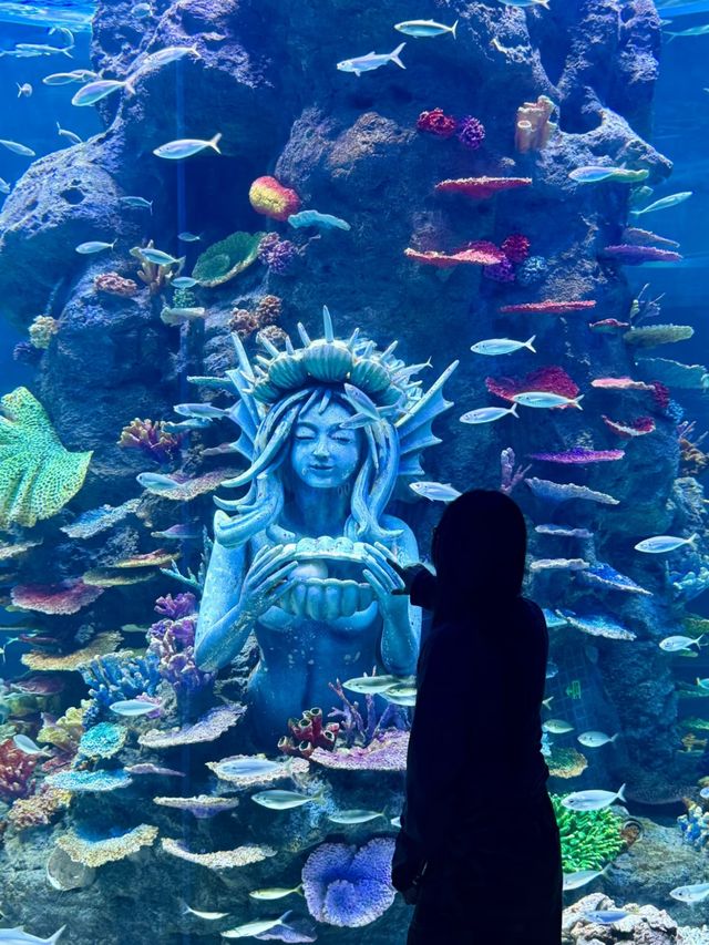 長沙湘江歡樂海洋公園攻略 | 湘江畔的藍色夢幻王國