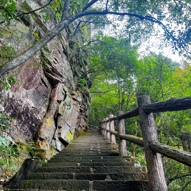Zhangjiajie National Park (Wulingyuan) – Quick Guide