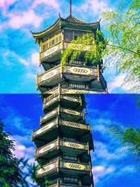 真係唔喺江浙滬度㗎，呢度係宜賓竹海