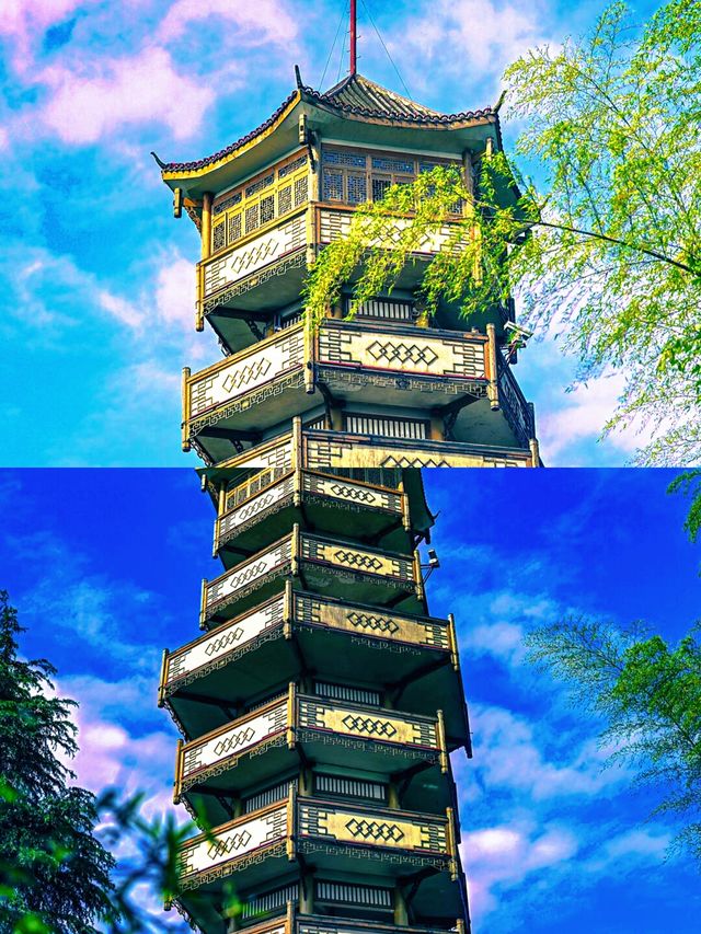 真係唔喺江浙滬度㗎，呢度係宜賓竹海
