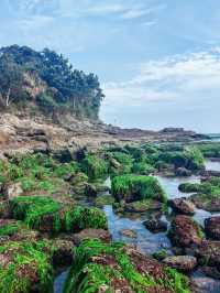 惠州鹽洲島-趕海嘅好地方