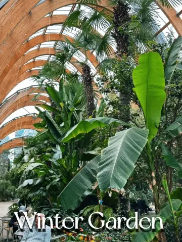 Sheffield Winter Gardens is so Dreamy❤️‍🔥🥰