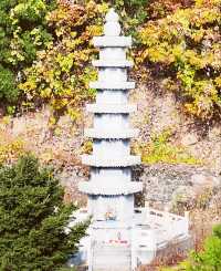 唐山遵化禪林寺古銀杏風景園參觀攻略