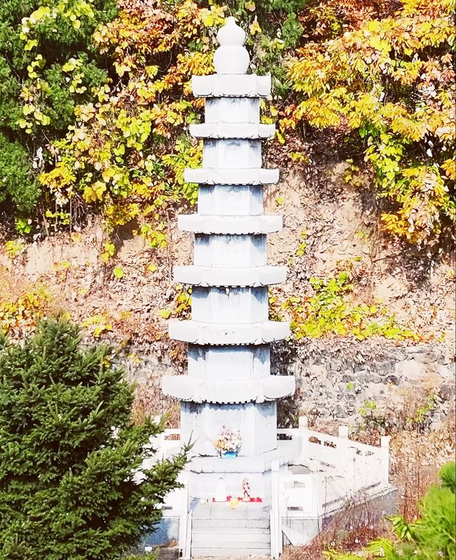 唐山遵化禪林寺古銀杏風景園參觀攻略