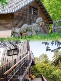 齊雲山自由家·樹屋世界：親子遊玩好去處
