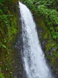 走世界系列中美洲篇：哥斯達黎加-阿雷納火山區