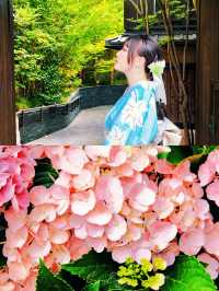 京都端午｜永觀堂禪林寺 人少景美嘅紫陽花秘境💜