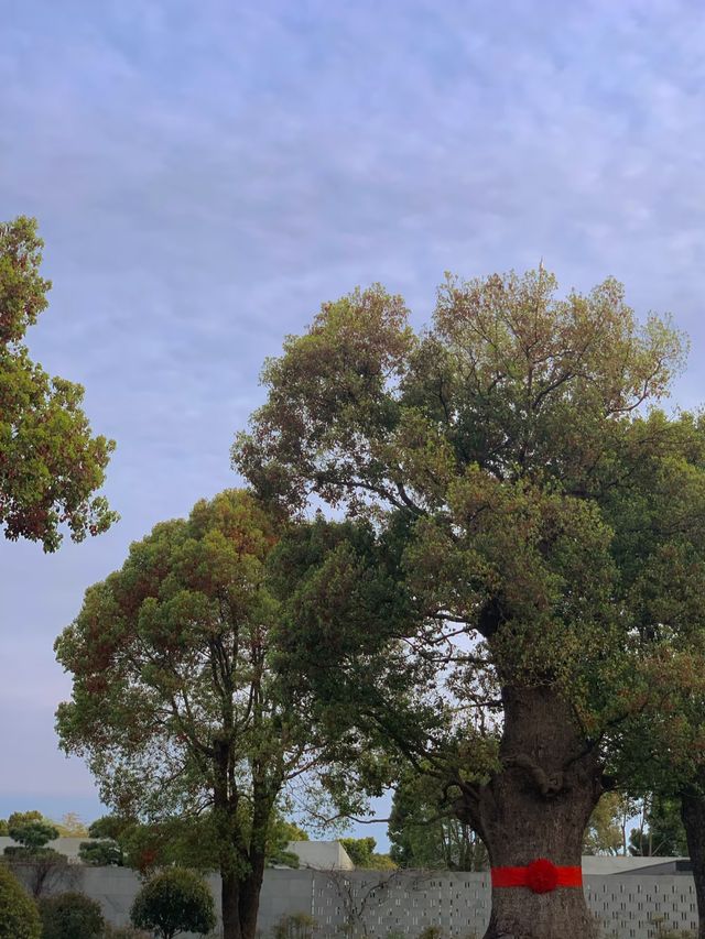 上海養雲安縵，每個中國人都會感到驕傲
