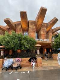 Disneyland Shanghai: Playing, learning and shopping 