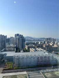 首爾必住 | JW Marriott Seoul江南奢華之選