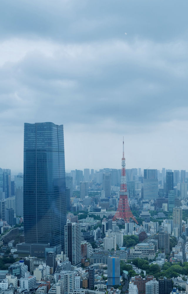 東京12日行程