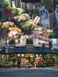 Exploring Paris: A City Walk Along the Seine River