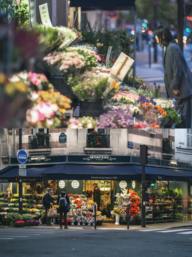 Exploring Paris: A City Walk Along the Seine River