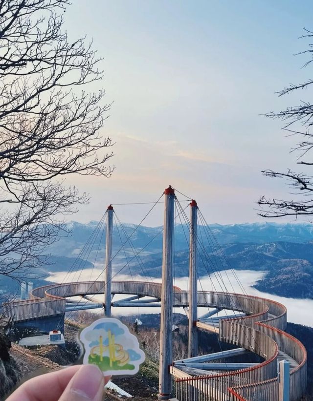 上海直飛3h丨中產們開始流行去北海道遛娃