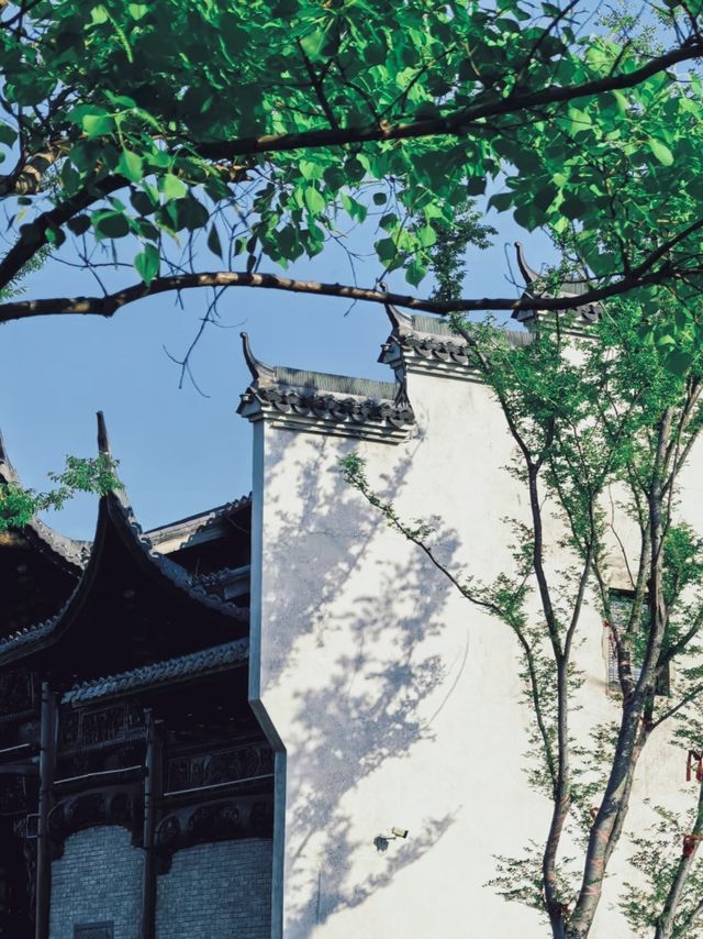 喺湖州出差嗰陣，我無意中發現咗一個寧靜嘅小村莊。
