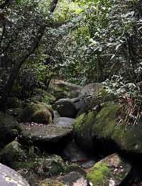 漳州貢鴨山森林公園：徒步探尋自然秘境